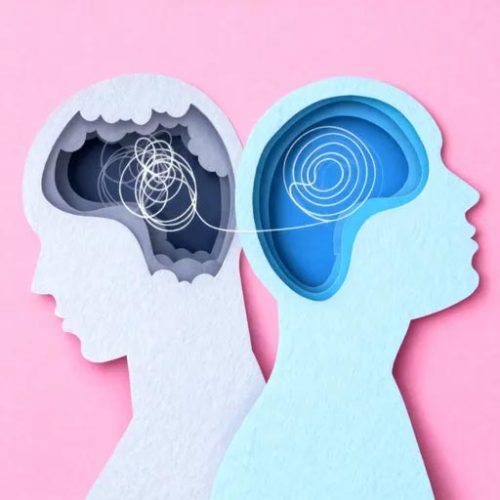 two brains two brains